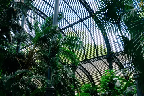 Botanischer Garten München