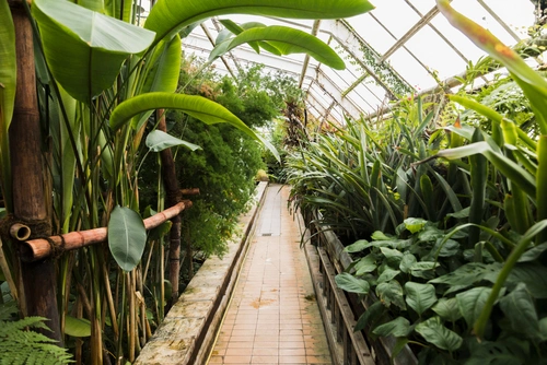Urban Jungle Hamburg